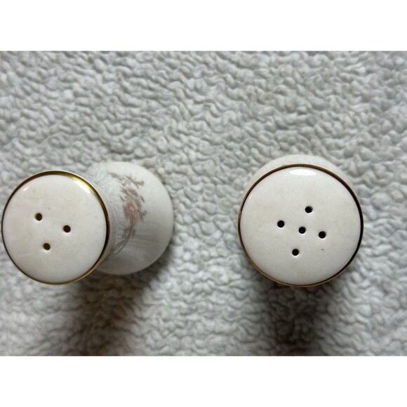 KENSINGTON USA Floral Fine China Ivory Bone Salt And Pepper Shaker Set - Picture 3 of 4